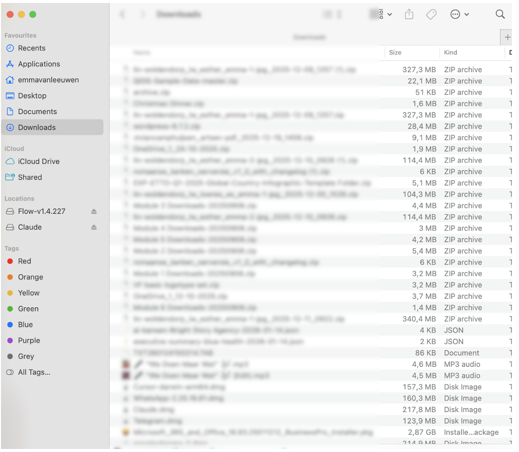 Screenshot van een chaotische downloads folder met tientallen ongesorteerde bestanden